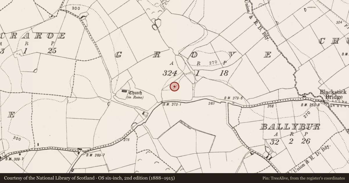 Ordnance Survey six-inch map, 2nd edition (1888–1915) covering the location of Moated site, Grove, County Kilkenny, with a pin at the register's coordinates