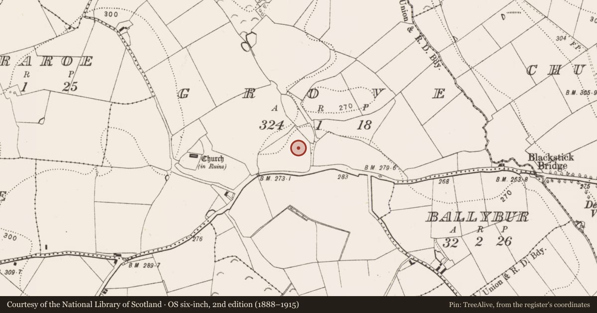 Ordnance Survey six-inch map, 2nd edition (1888–1915) covering the location of Enclosure, Grove, County Kilkenny, with a pin at the register's coordinates