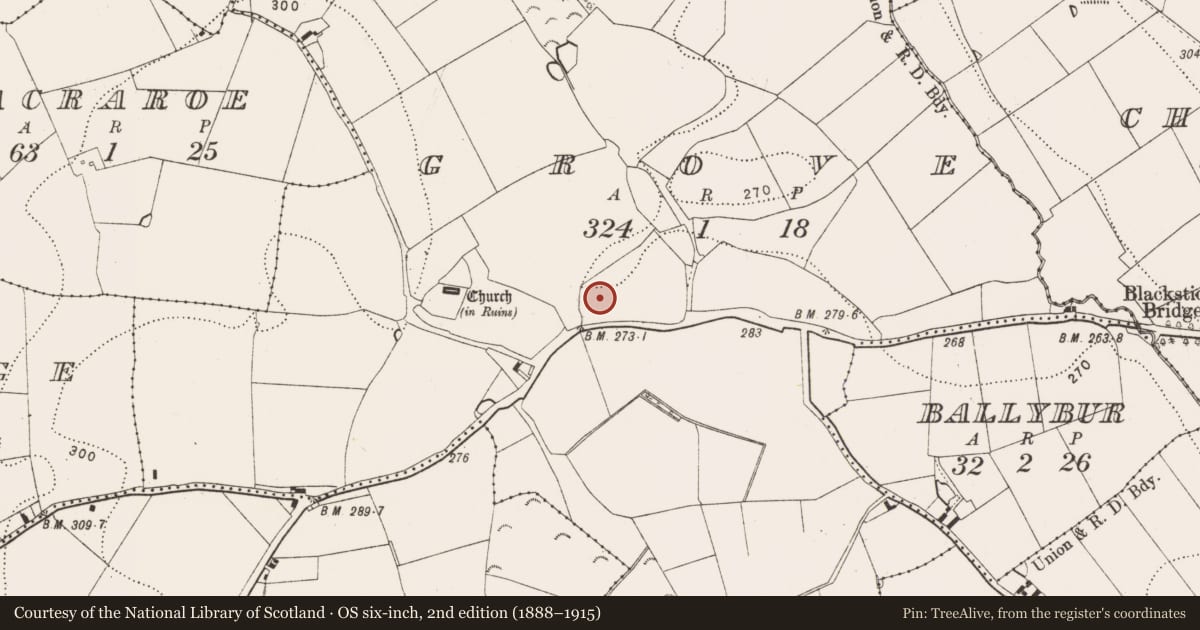 Ordnance Survey six-inch map, 2nd edition (1888–1915) covering the location of Castle - motte, Grove, County Kilkenny, with a pin at the register's coordinates
