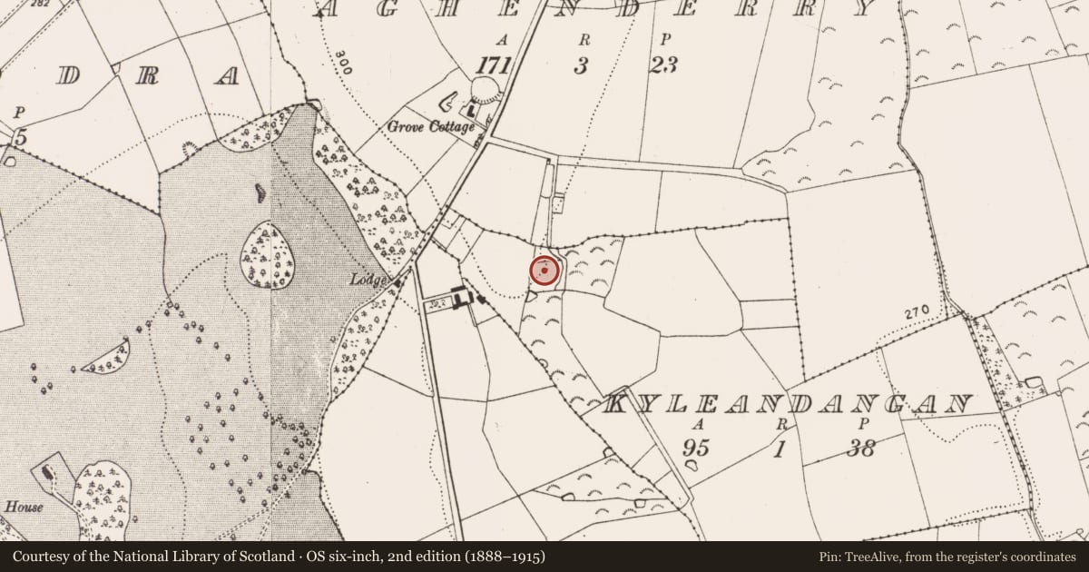 Ordnance Survey six-inch map, 2nd edition (1888–1915) covering the location of Enclosure, Kyleandangan, County Kilkenny, with a pin at the register's coordinates