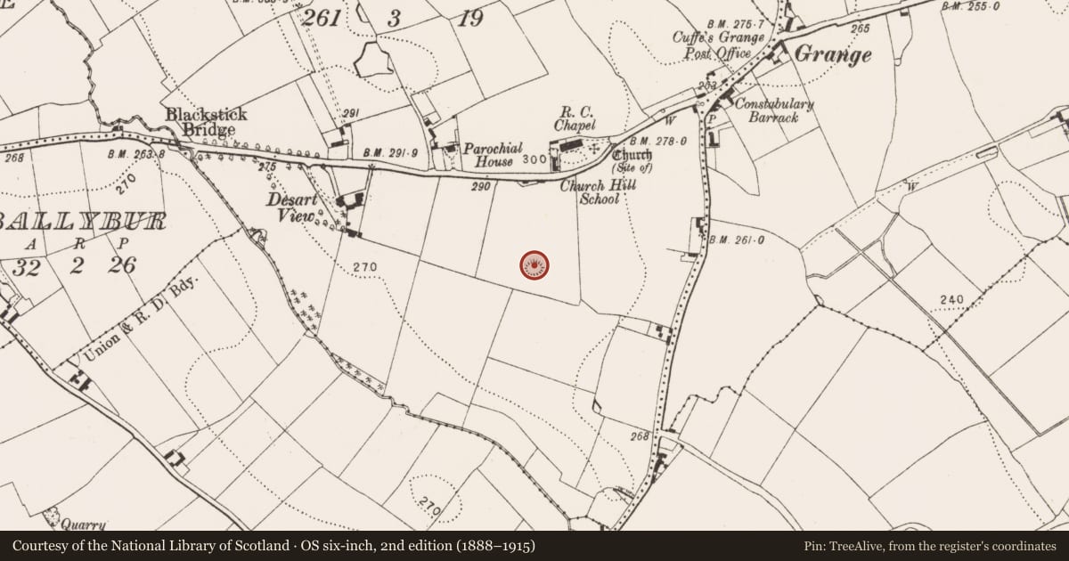 Ordnance Survey six-inch map, 2nd edition (1888–1915) covering the location of Enclosure, Church Hill, County Kilkenny, with a pin at the register's coordinates