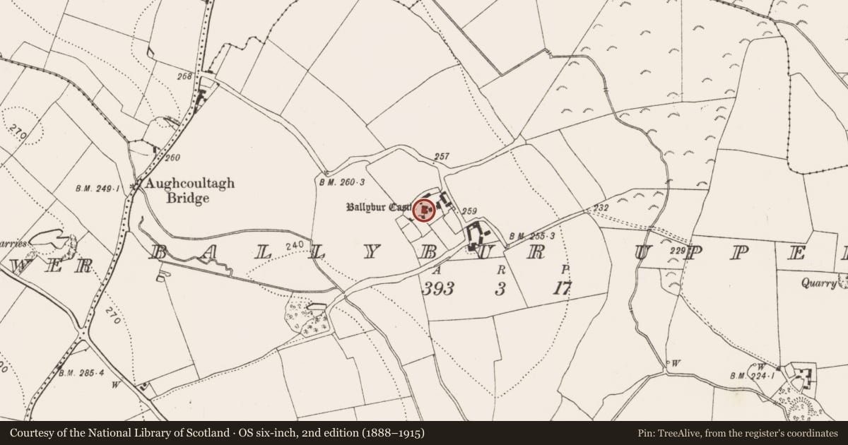 Ordnance Survey six-inch map, 2nd edition (1888–1915) covering the location of Castle - tower house, Ballybur Upper, County Kilkenny, with a pin at the register's coordinates