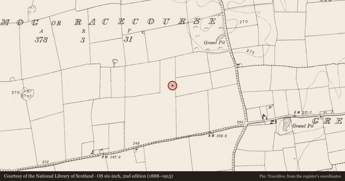 Ordnance Survey six-inch map, 2nd edition (1888–1915) covering the location of Midden, Kilmog Or Racecourse, County Kilkenny, with a pin at the register's coordinates