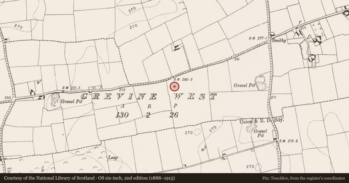 Ordnance Survey six-inch map, 2nd edition (1888–1915) covering the location of Enclosure, Grevine West, County Kilkenny, with a pin at the register's coordinates