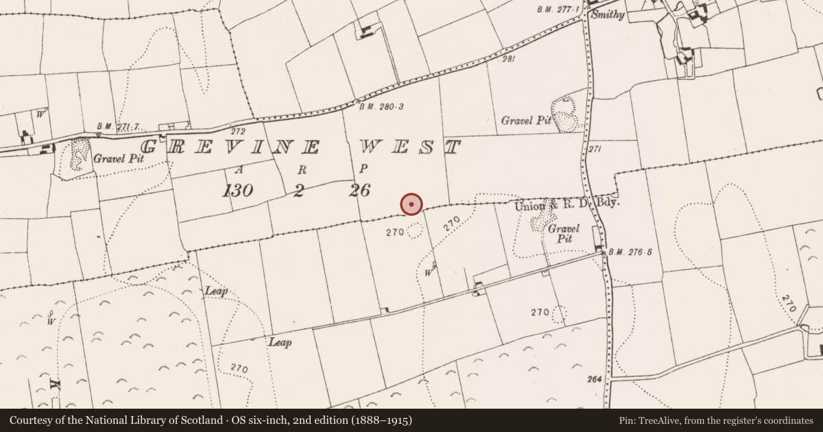 Ordnance Survey six-inch map, 2nd edition (1888–1915) covering the location of Field system, Grevine West, County Kilkenny, with a pin at the register's coordinates