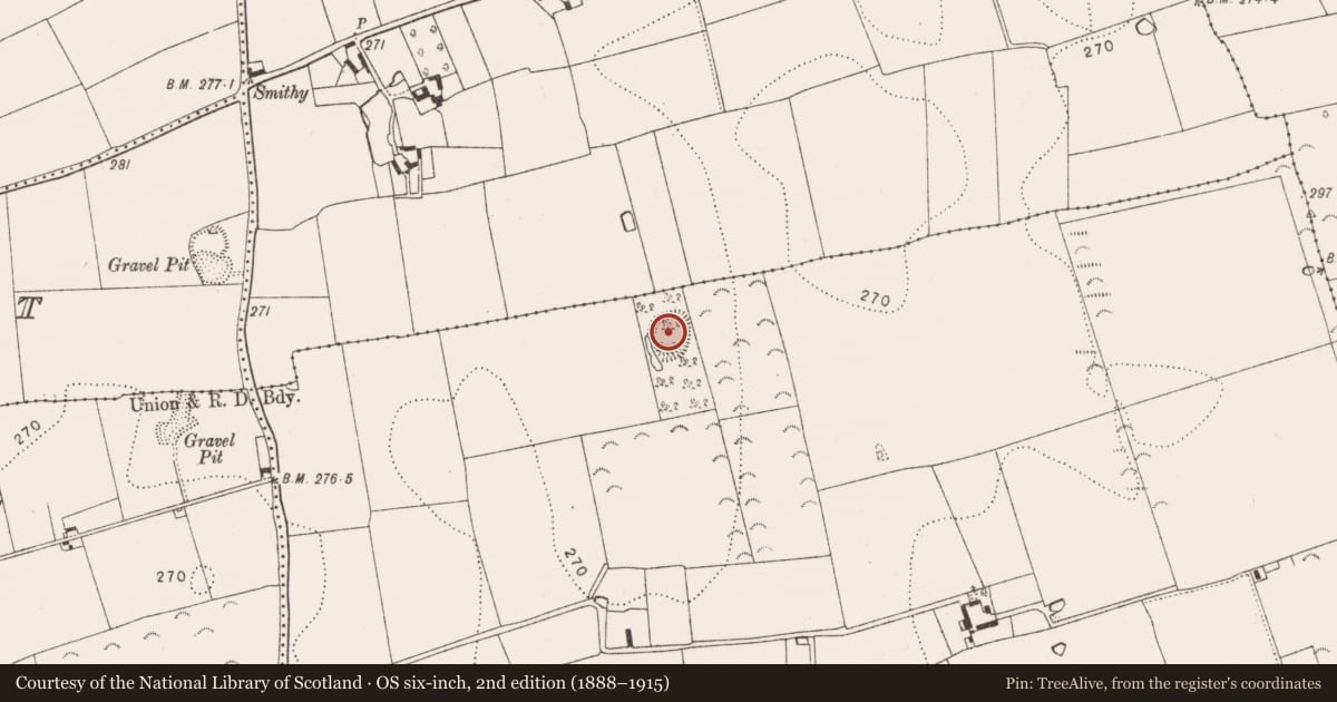 Ordnance Survey six-inch map, 2nd edition (1888–1915) covering the location of Enclosure, Rathclogh, County Kilkenny, with a pin at the register's coordinates