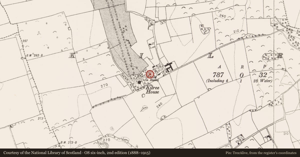 Ordnance Survey six-inch map, 2nd edition (1888–1915) covering the location of Castle - unclassified, Kilree, County Kilkenny, with a pin at the register's coordinates