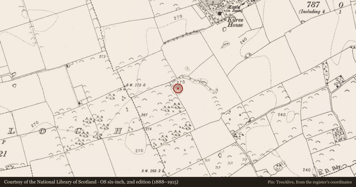 Ordnance Survey six-inch map, 2nd edition (1888–1915) covering the location of Enclosure, Kilree, County Kilkenny, with a pin at the register's coordinates