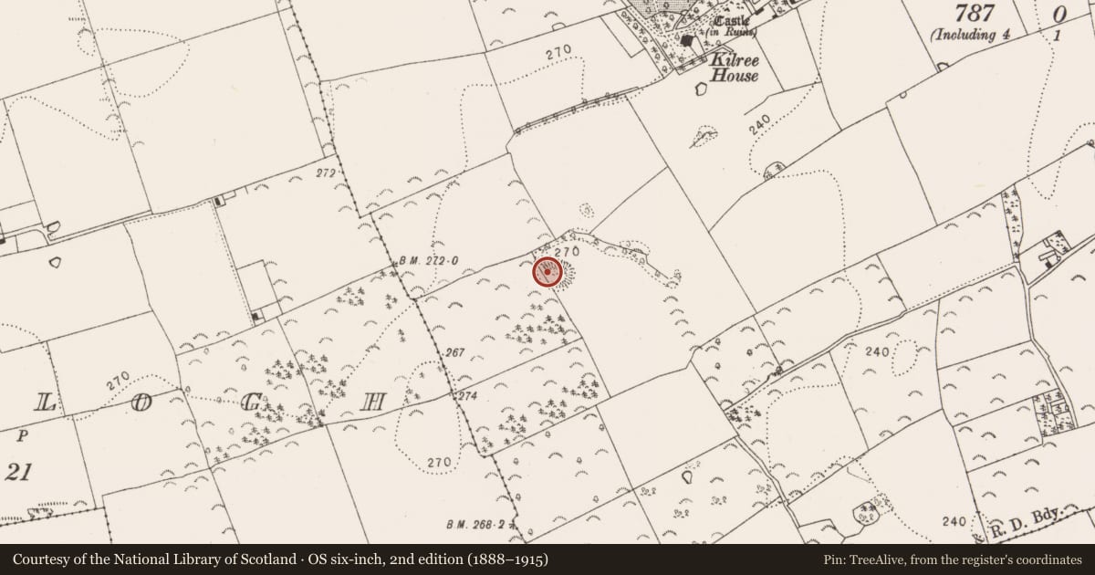 Ordnance Survey six-inch map, 2nd edition (1888–1915) covering the location of Hut site, Kilree, County Kilkenny, with a pin at the register's coordinates