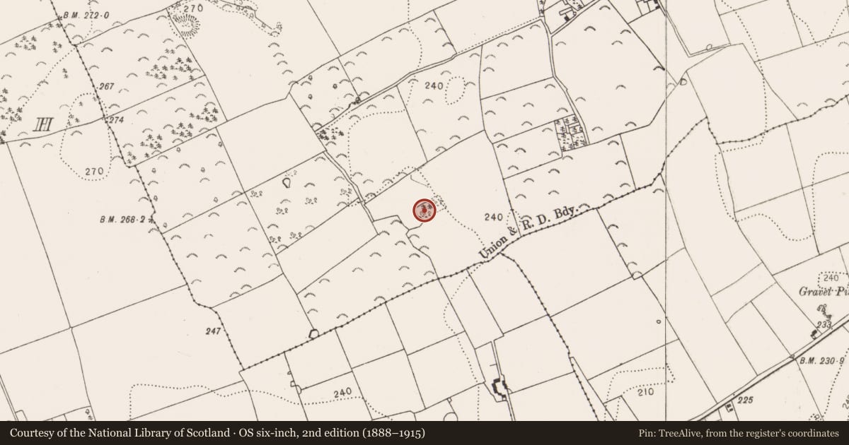 Ordnance Survey six-inch map, 2nd edition (1888–1915) covering the location of Enclosure, Kilree, County Kilkenny, with a pin at the register's coordinates