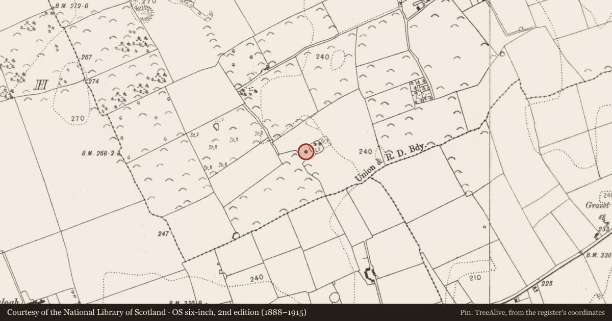 Ordnance Survey six-inch map, 2nd edition (1888–1915) covering the location of Enclosure, Kilree, County Kilkenny, with a pin at the register's coordinates