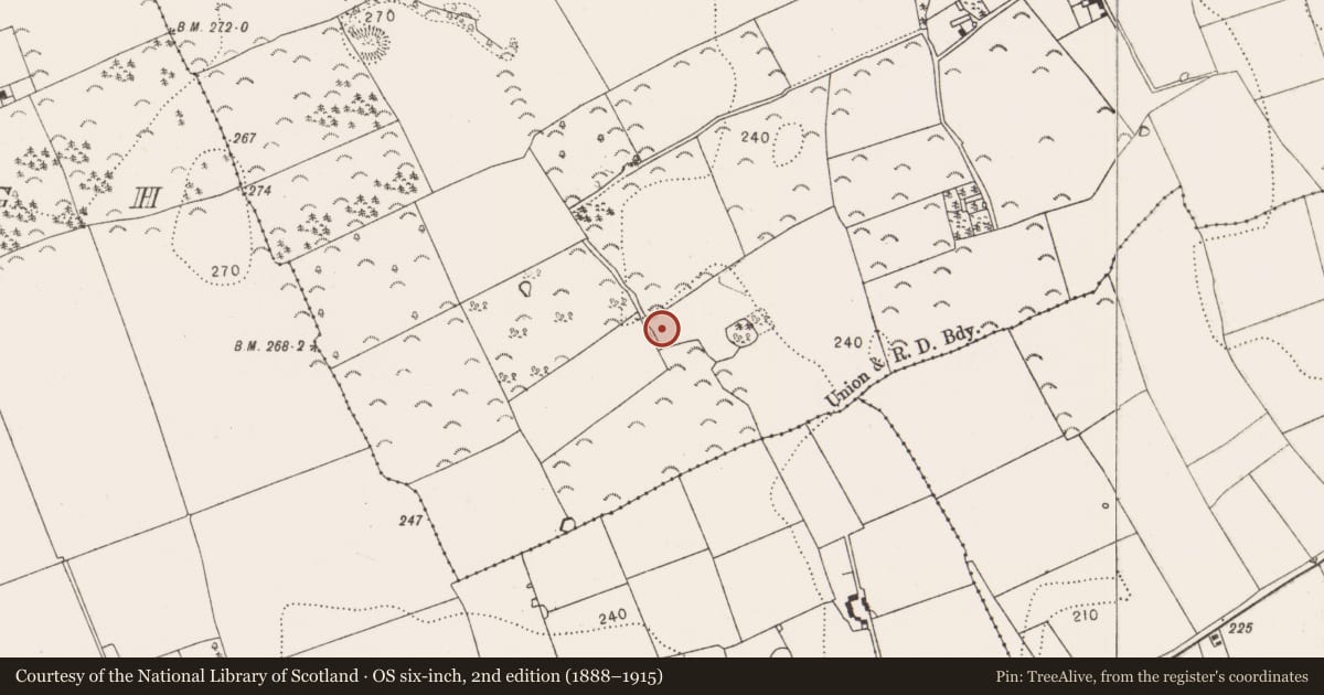 Ordnance Survey six-inch map, 2nd edition (1888–1915) covering the location of Enclosure, Kilree, County Kilkenny, with a pin at the register's coordinates