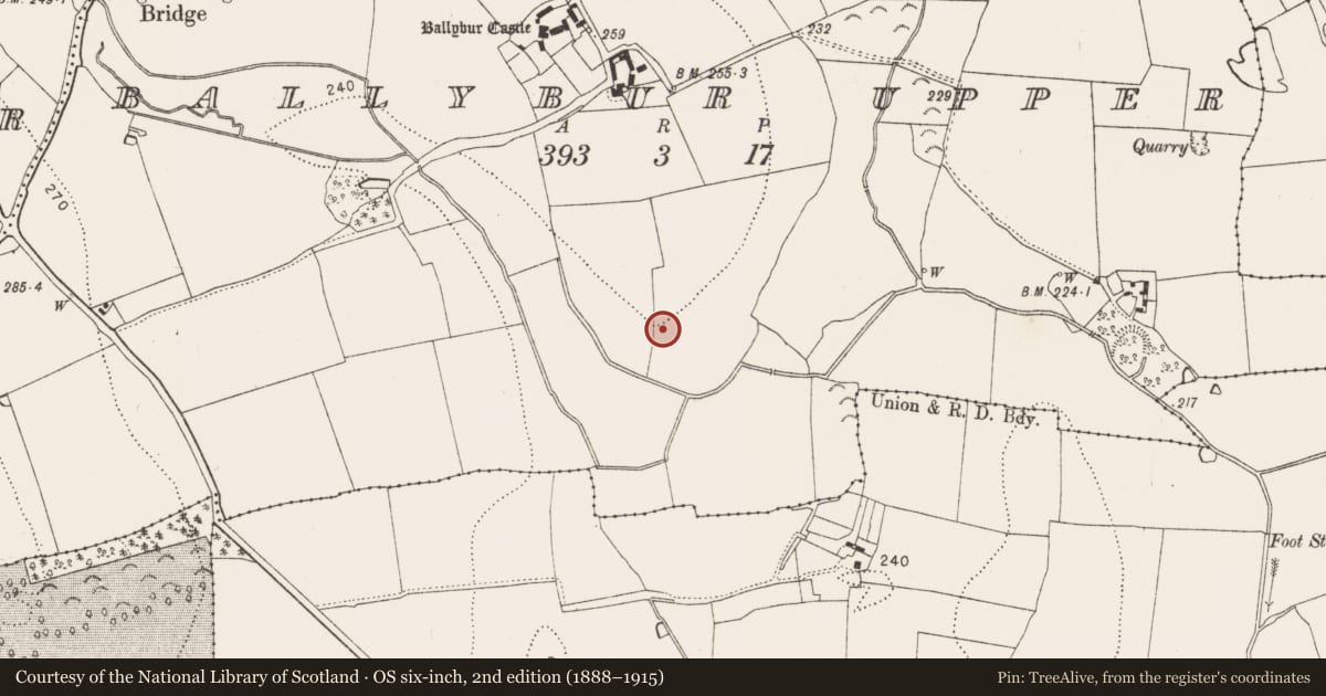 Ordnance Survey six-inch map, 2nd edition (1888–1915) covering the location of Burnt spread, Ballybur Upper, County Kilkenny, with a pin at the register's coordinates