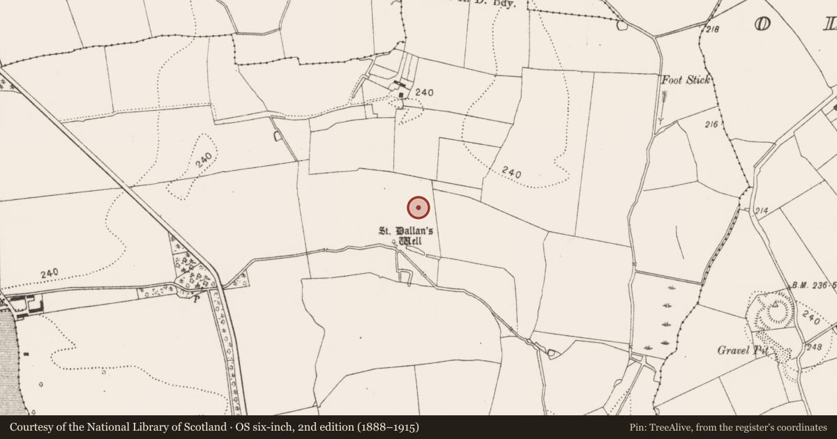 Ordnance Survey six-inch map, 2nd edition (1888–1915) covering the location of Church, Burnchurch, County Kilkenny, with a pin at the register's coordinates