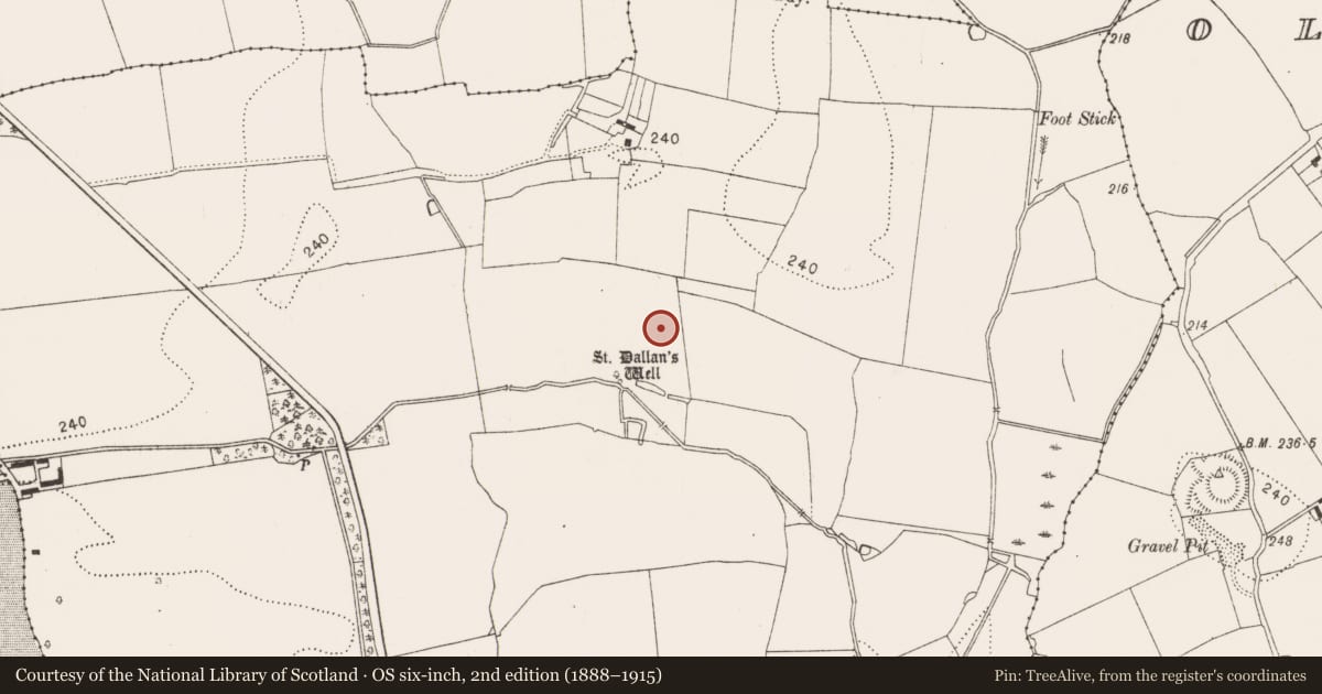 Ordnance Survey six-inch map, 2nd edition (1888–1915) covering the location of Graveyard, Burnchurch, County Kilkenny, with a pin at the register's coordinates
