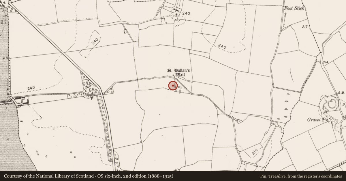 Ordnance Survey six-inch map, 2nd edition (1888–1915) covering the location of Ritual site - holy well, Burnchurch, County Kilkenny, with a pin at the register's coordinates