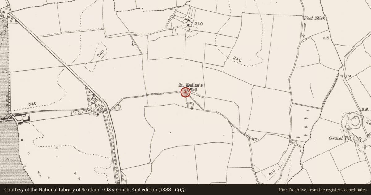 Ordnance Survey six-inch map, 2nd edition (1888–1915) covering the location of Ritual site - holy well, Burnchurch, County Kilkenny, with a pin at the register's coordinates