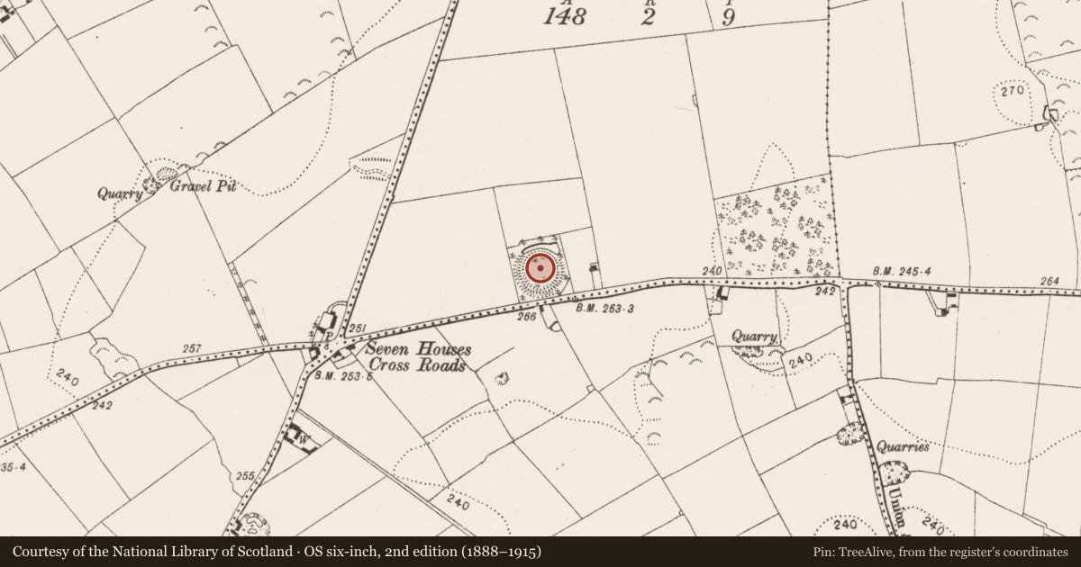 Ordnance Survey six-inch map, 2nd edition (1888–1915) covering the location of Enclosure, Newlands, County Kilkenny, with a pin at the register's coordinates