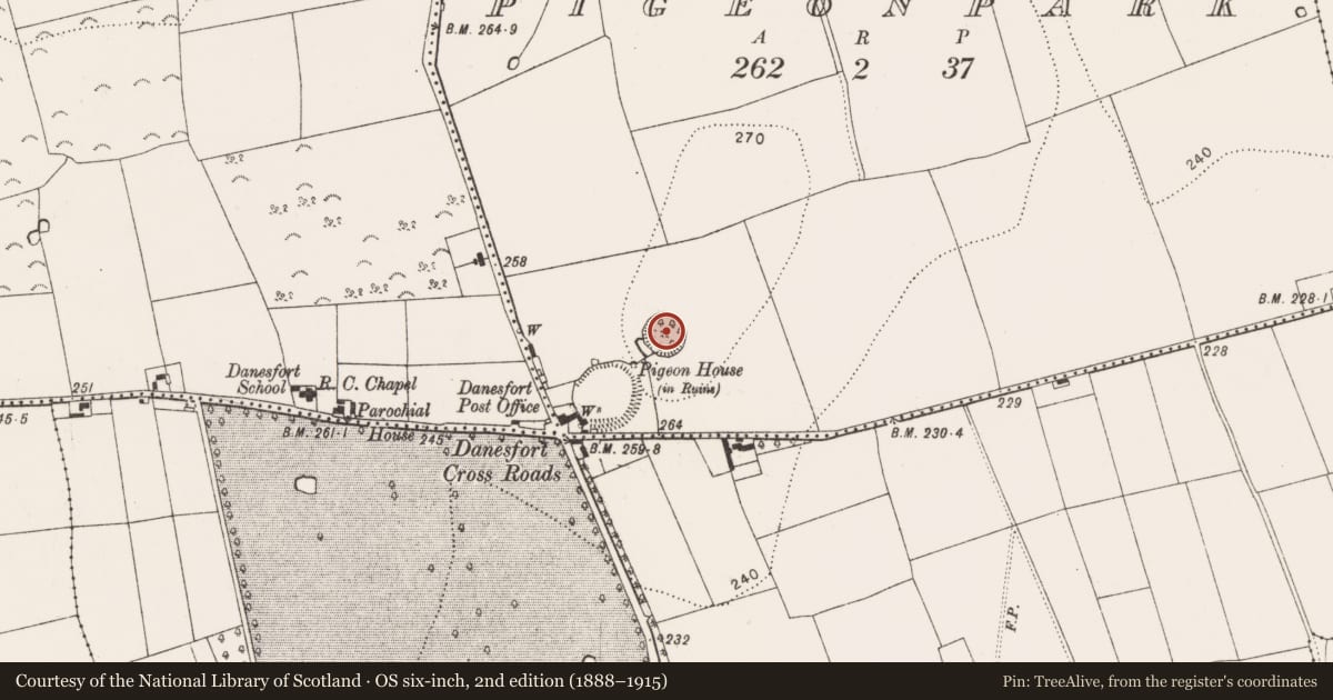 Ordnance Survey six-inch map, 2nd edition (1888–1915) covering the location of Enclosure, Pigeonpark, County Kilkenny, with a pin at the register's coordinates