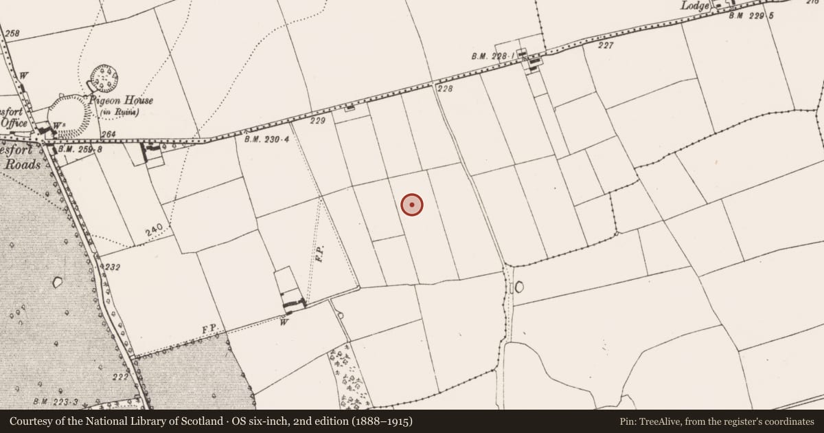 Ordnance Survey six-inch map, 2nd edition (1888–1915) covering the location of Ring-ditch, Danesfort, County Kilkenny, with a pin at the register's coordinates