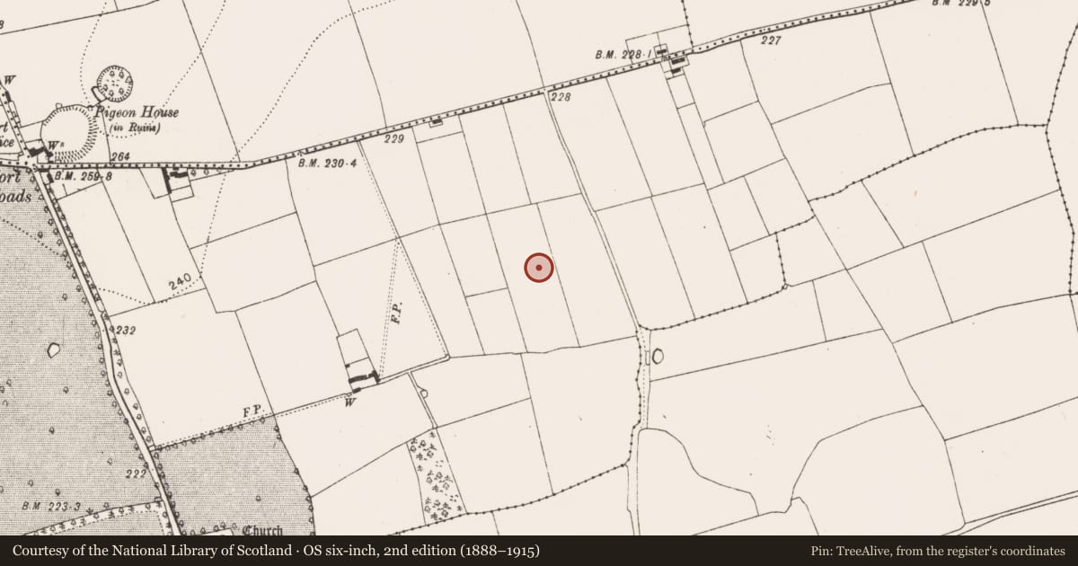 Ordnance Survey six-inch map, 2nd edition (1888–1915) covering the location of Field system, Danesfort, County Kilkenny, with a pin at the register's coordinates