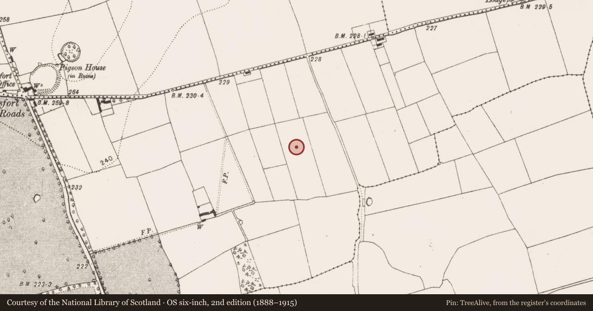 Ordnance Survey six-inch map, 2nd edition (1888–1915) covering the location of Ring-ditch, Danesfort, County Kilkenny, with a pin at the register's coordinates