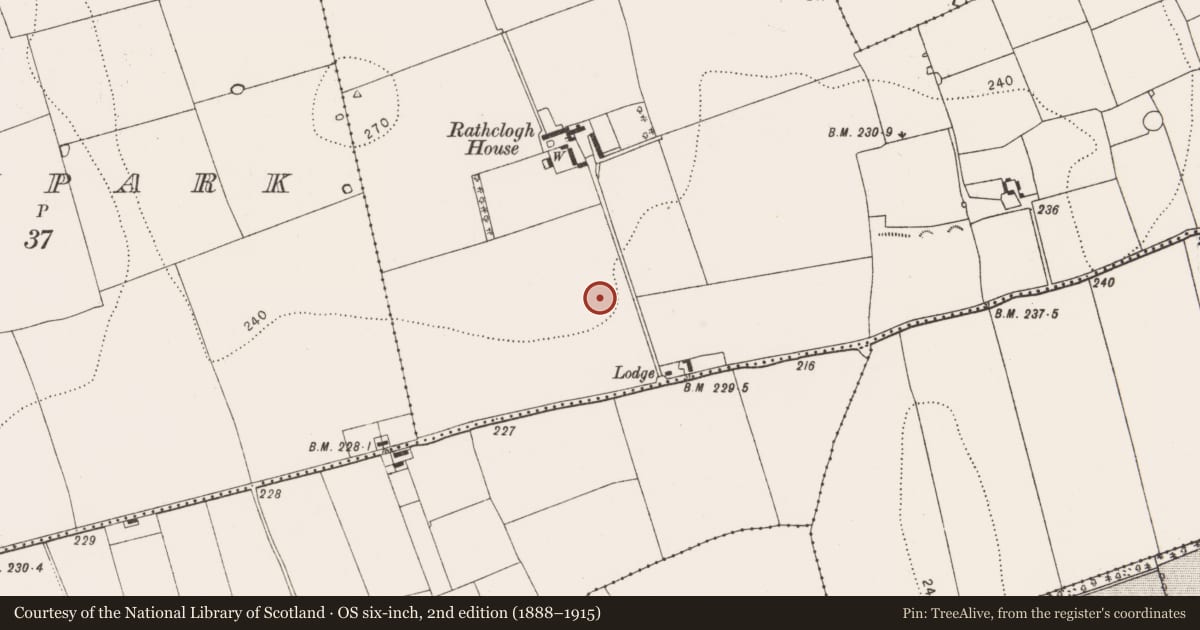 Ordnance Survey six-inch map, 2nd edition (1888–1915) covering the location of Enclosure, Rathclogh, County Kilkenny, with a pin at the register's coordinates