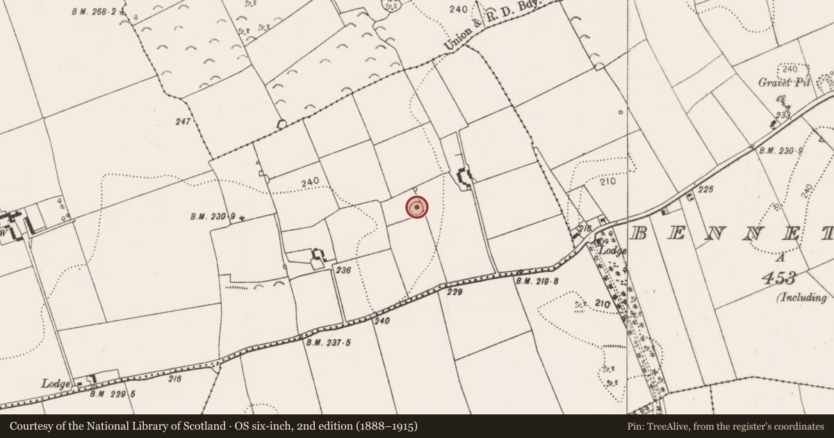 Ordnance Survey six-inch map, 2nd edition (1888–1915) covering the location of Enclosure, Rathclogh, County Kilkenny, with a pin at the register's coordinates