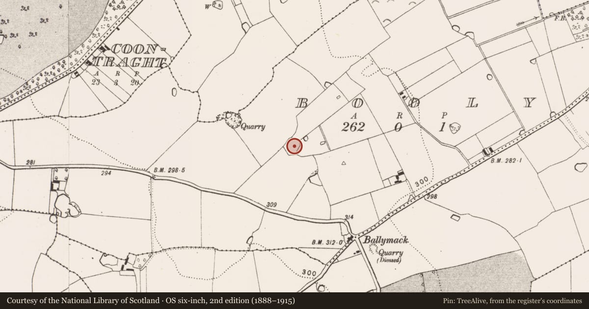 Ordnance Survey six-inch map, 2nd edition (1888–1915) covering the location of Enclosure, Booly, County Kilkenny, with a pin at the register's coordinates