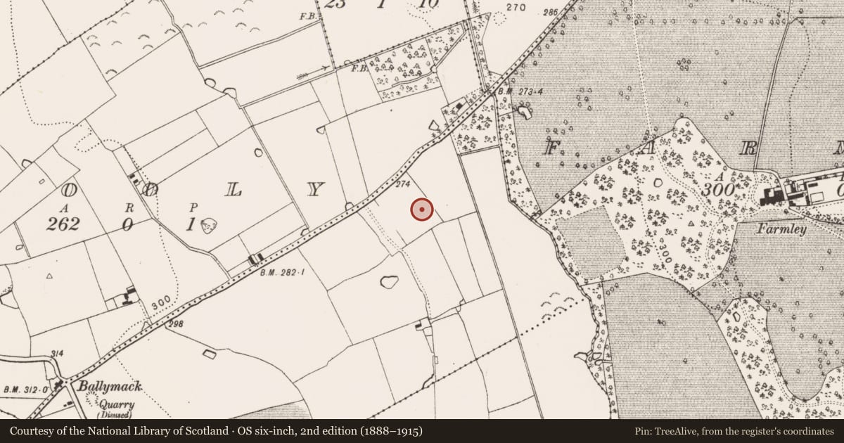 Ordnance Survey six-inch map, 2nd edition (1888–1915) covering the location of Fulacht fia, Ballymack (Desart), County Kilkenny, with a pin at the register's coordinates