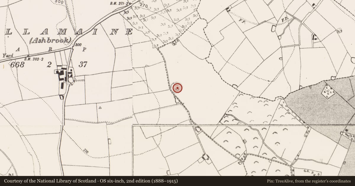 Ordnance Survey six-inch map, 2nd edition (1888–1915) covering the location of Enclosure, Newtown (Baker), County Kilkenny, with a pin at the register's coordinates