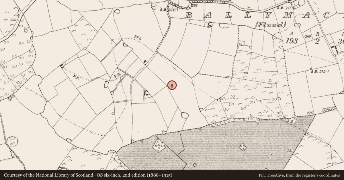 Ordnance Survey six-inch map, 2nd edition (1888–1915) covering the location of Enclosure, Ballymack (Desart), County Kilkenny, with a pin at the register's coordinates