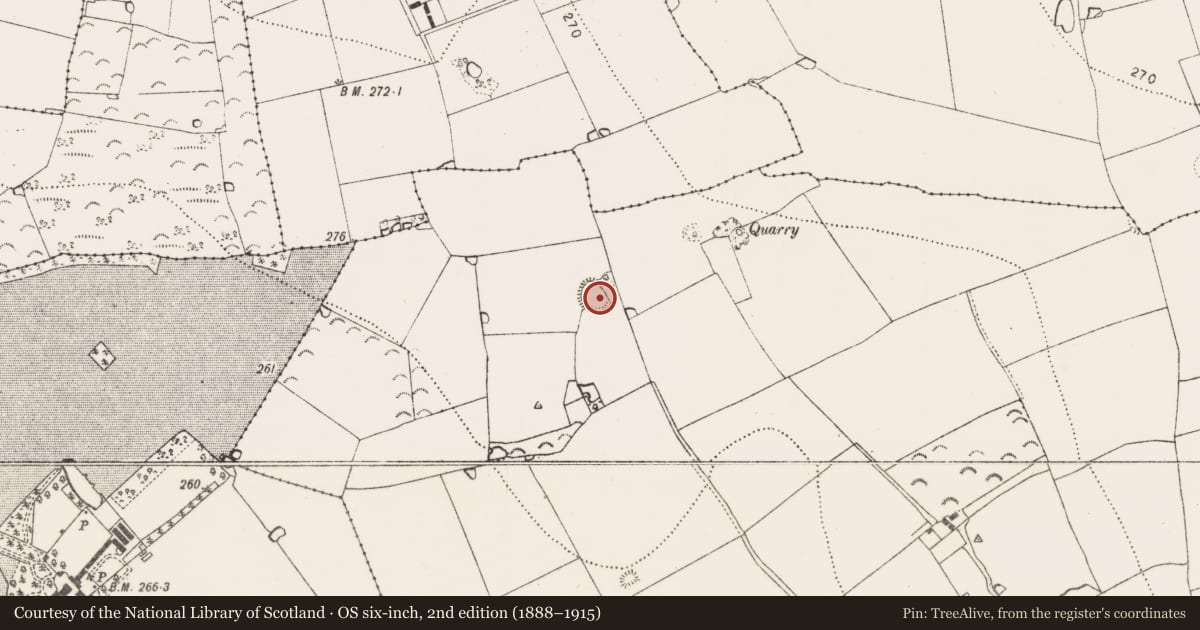 Ordnance Survey six-inch map, 2nd edition (1888–1915) covering the location of Enclosure, Ovenstown, County Kilkenny, with a pin at the register's coordinates