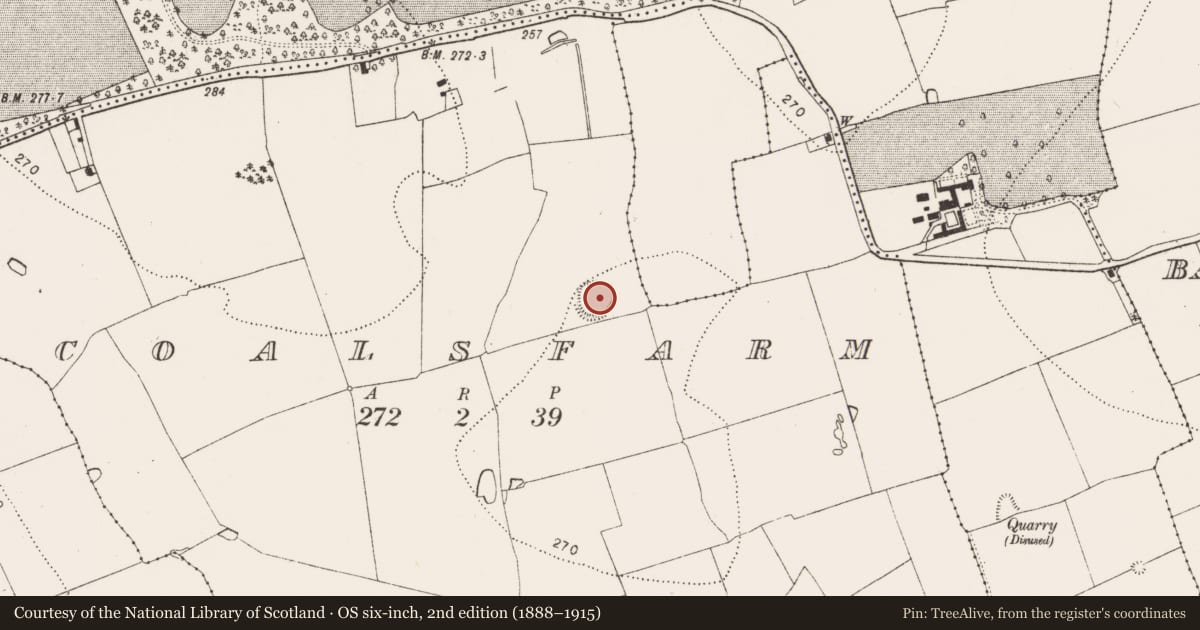 Ordnance Survey six-inch map, 2nd edition (1888–1915) covering the location of Enclosure, Coalsfarm, County Kilkenny, with a pin at the register's coordinates