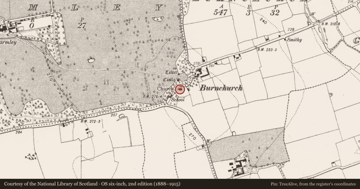 Ordnance Survey six-inch map, 2nd edition (1888–1915) covering the location of Tomb - chest tomb, Burnchurch, County Kilkenny, with a pin at the register's coordinates