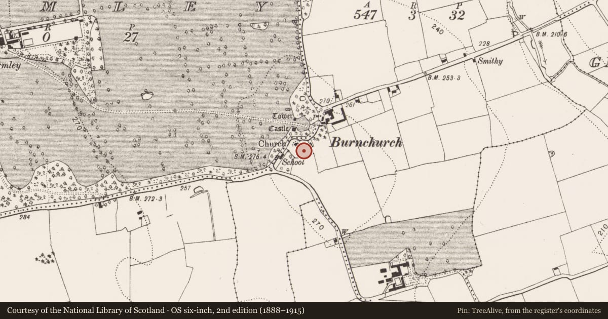Ordnance Survey six-inch map, 2nd edition (1888–1915) covering the location of Graveslab, Burnchurch, County Kilkenny, with a pin at the register's coordinates