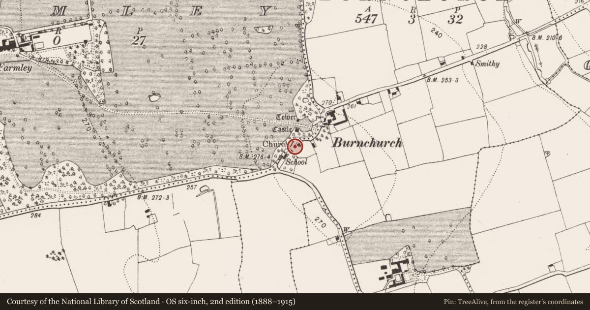 Ordnance Survey six-inch map, 2nd edition (1888–1915) covering the location of Graveslab, Burnchurch, County Kilkenny, with a pin at the register's coordinates
