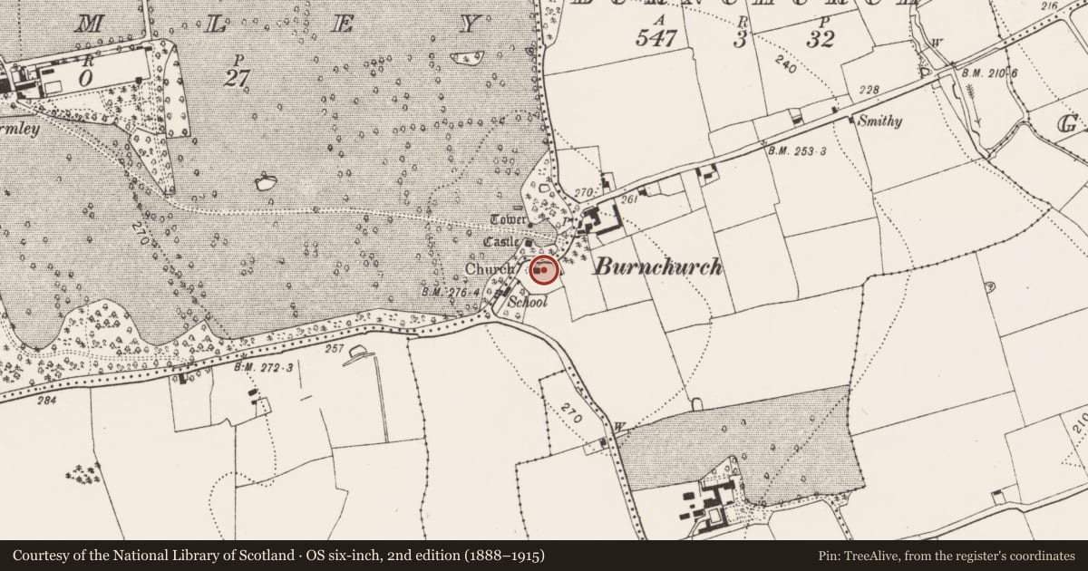 Ordnance Survey six-inch map, 2nd edition (1888–1915) covering the location of Graveslab, Burnchurch, County Kilkenny, with a pin at the register's coordinates