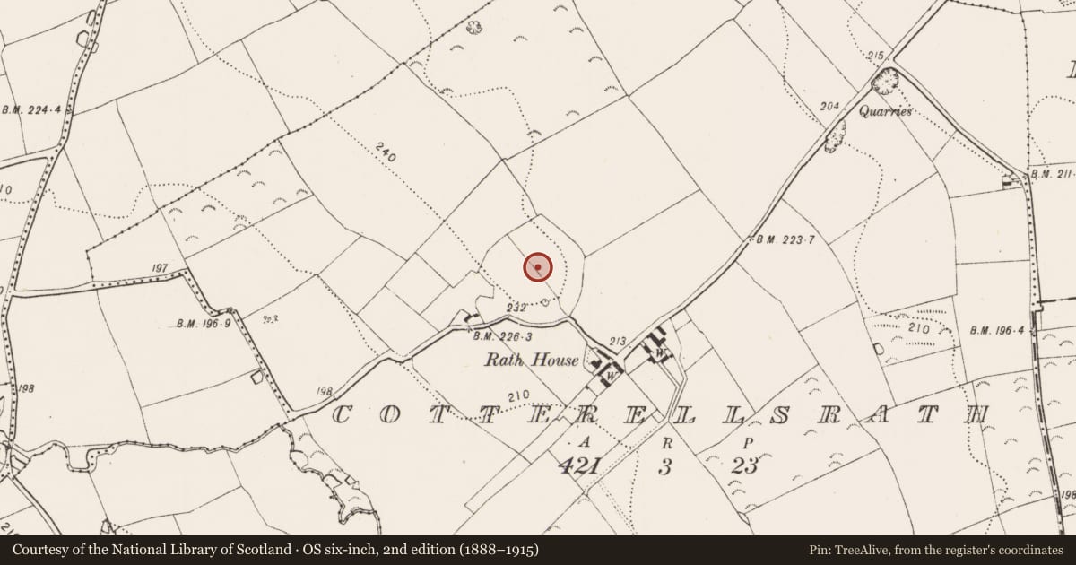 Ordnance Survey six-inch map, 2nd edition (1888–1915) covering the location of Enclosure - large enclosure, Cotterellsrath, County Kilkenny, with a pin at the register's coordinates