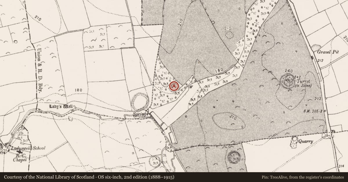 Ordnance Survey six-inch map, 2nd edition (1888–1915) covering the location of Enclosure, Danesfort, County Kilkenny, with a pin at the register's coordinates