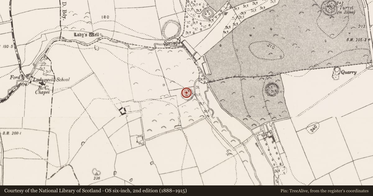 Ordnance Survey six-inch map, 2nd edition (1888–1915) covering the location of Enclosure, Ennisnag, County Kilkenny, with a pin at the register's coordinates