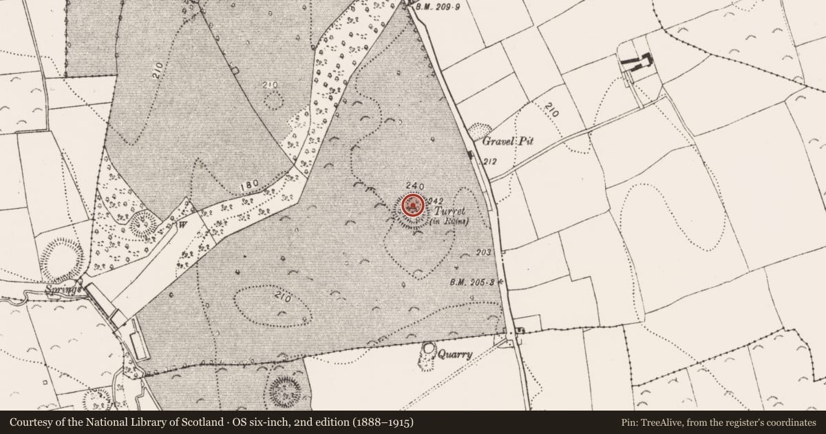 Ordnance Survey six-inch map, 2nd edition (1888–1915) covering the location of Castle - ringwork and bailey, Danesfort, County Kilkenny, with a pin at the register's coordinates