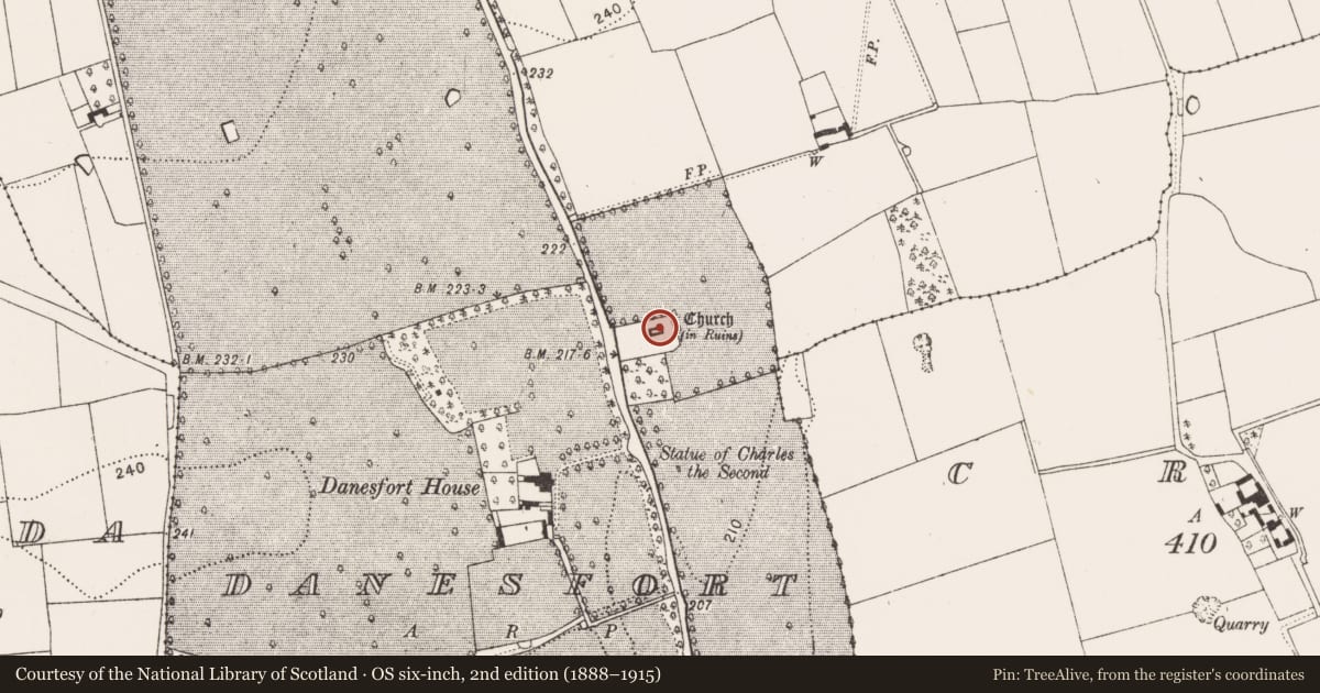 Ordnance Survey six-inch map, 2nd edition (1888–1915) covering the location of Graveslab, Danesfort, County Kilkenny, with a pin at the register's coordinates