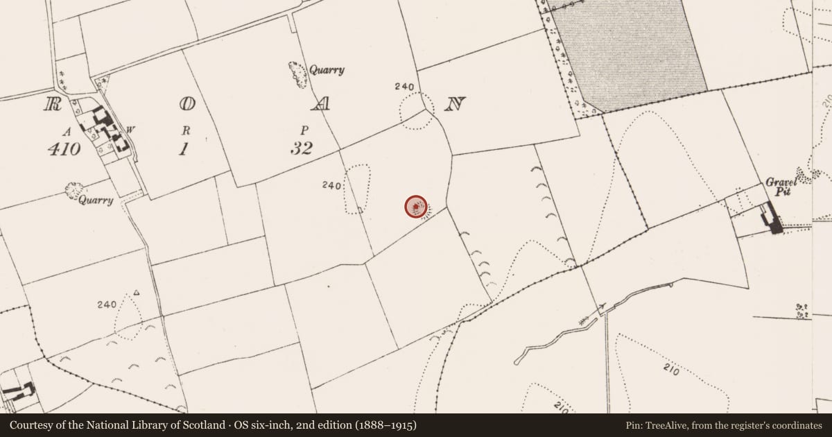 Ordnance Survey six-inch map, 2nd edition (1888–1915) covering the location of Concentric enclosure, Croan, County Kilkenny, with a pin at the register's coordinates
