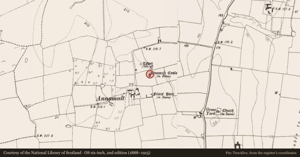 Ordnance Survey six-inch map, 2nd edition (1888–1915) covering the location of Castle - tower house, Annamult, County Kilkenny, with a pin at the register's coordinates