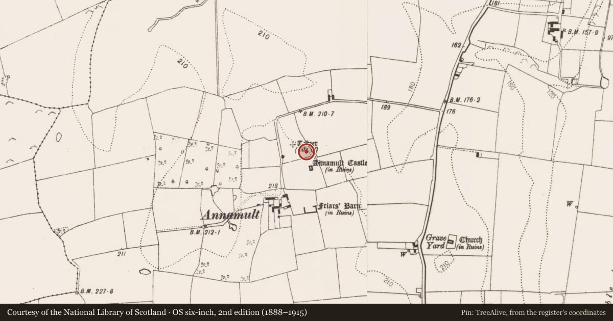 Ordnance Survey six-inch map, 2nd edition (1888–1915) covering the location of Bawn, Annamult, County Kilkenny, with a pin at the register's coordinates
