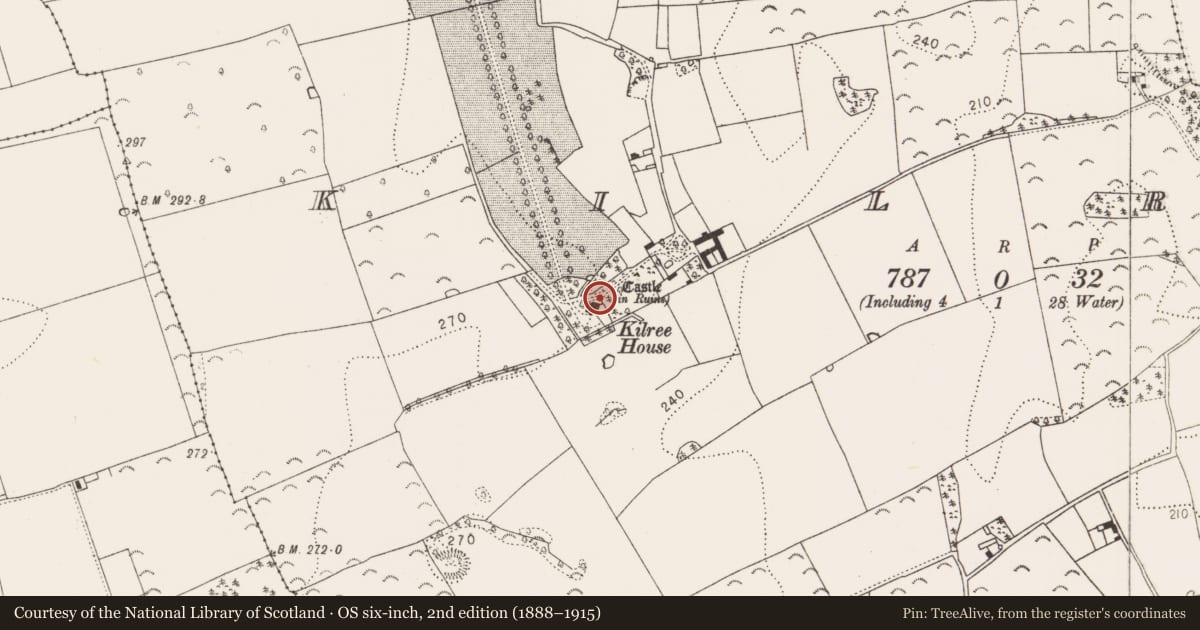 Ordnance Survey six-inch map, 2nd edition (1888–1915) covering the location of Graveyard, Kilree, County Kilkenny, with a pin at the register's coordinates
