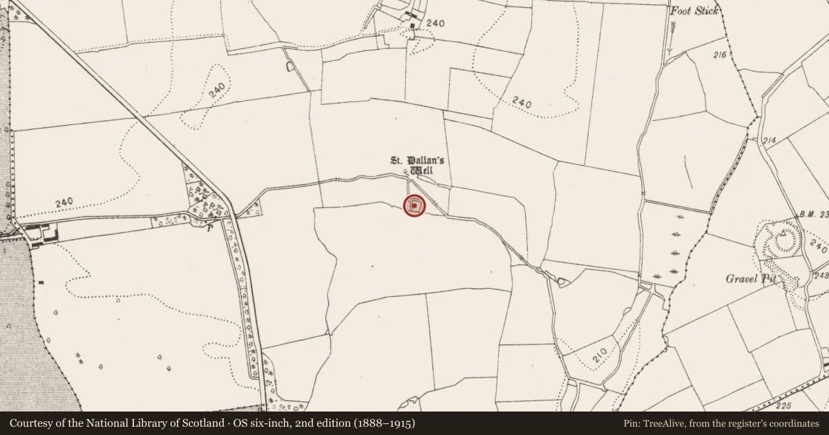 Ordnance Survey six-inch map, 2nd edition (1888–1915) covering the location of Enclosure, Burnchurch, County Kilkenny, with a pin at the register's coordinates
