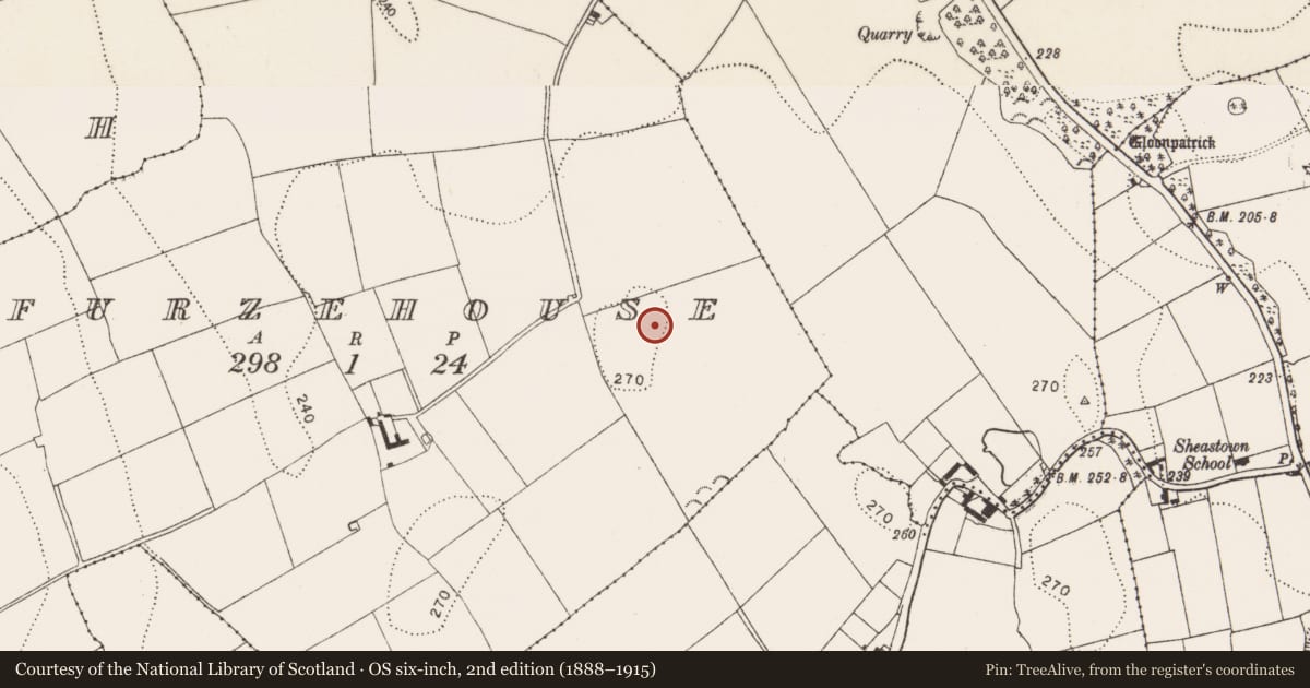 Ordnance Survey six-inch map, 2nd edition (1888–1915) covering the location of Enclosure, Furzehouse, County Kilkenny, with a pin at the register's coordinates