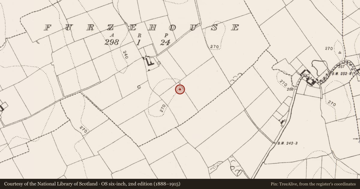 Ordnance Survey six-inch map, 2nd edition (1888–1915) covering the location of Enclosure, Furzehouse, County Kilkenny, with a pin at the register's coordinates